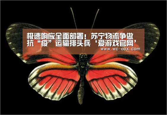 爱游戏体育app