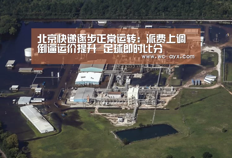 爱游戏app