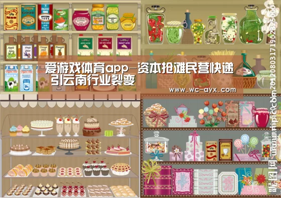 爱游戏体育app-资本抢滩民营快递 引云南行业裂变(图2) 爱游戏官网