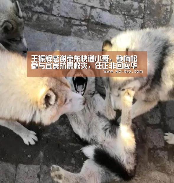 爱游戏官网
