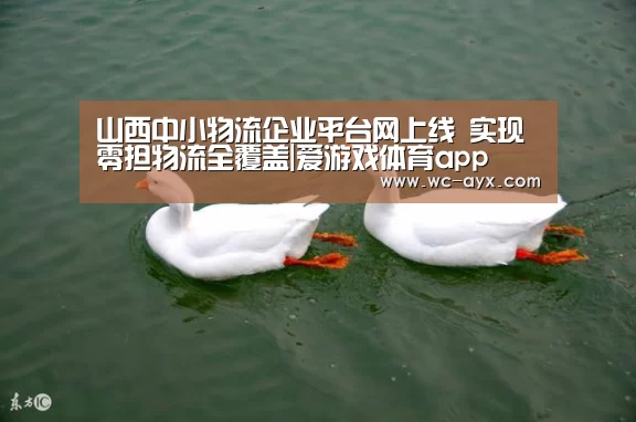 爱游戏官网