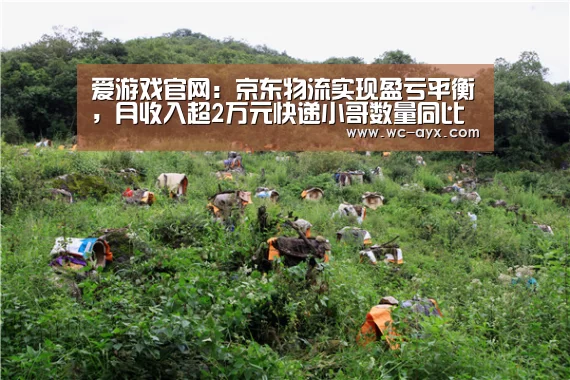 爱游戏官网